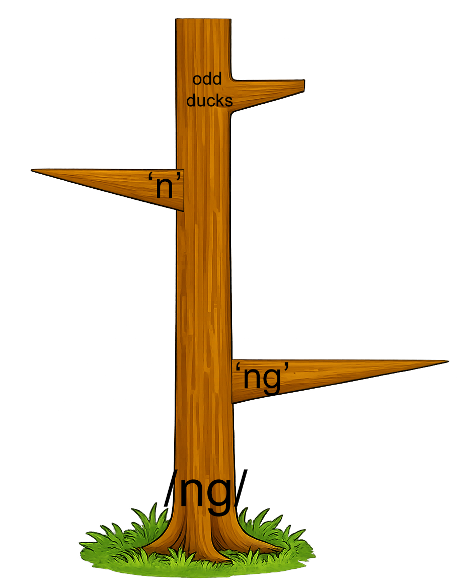 Spelling tree for /ng/